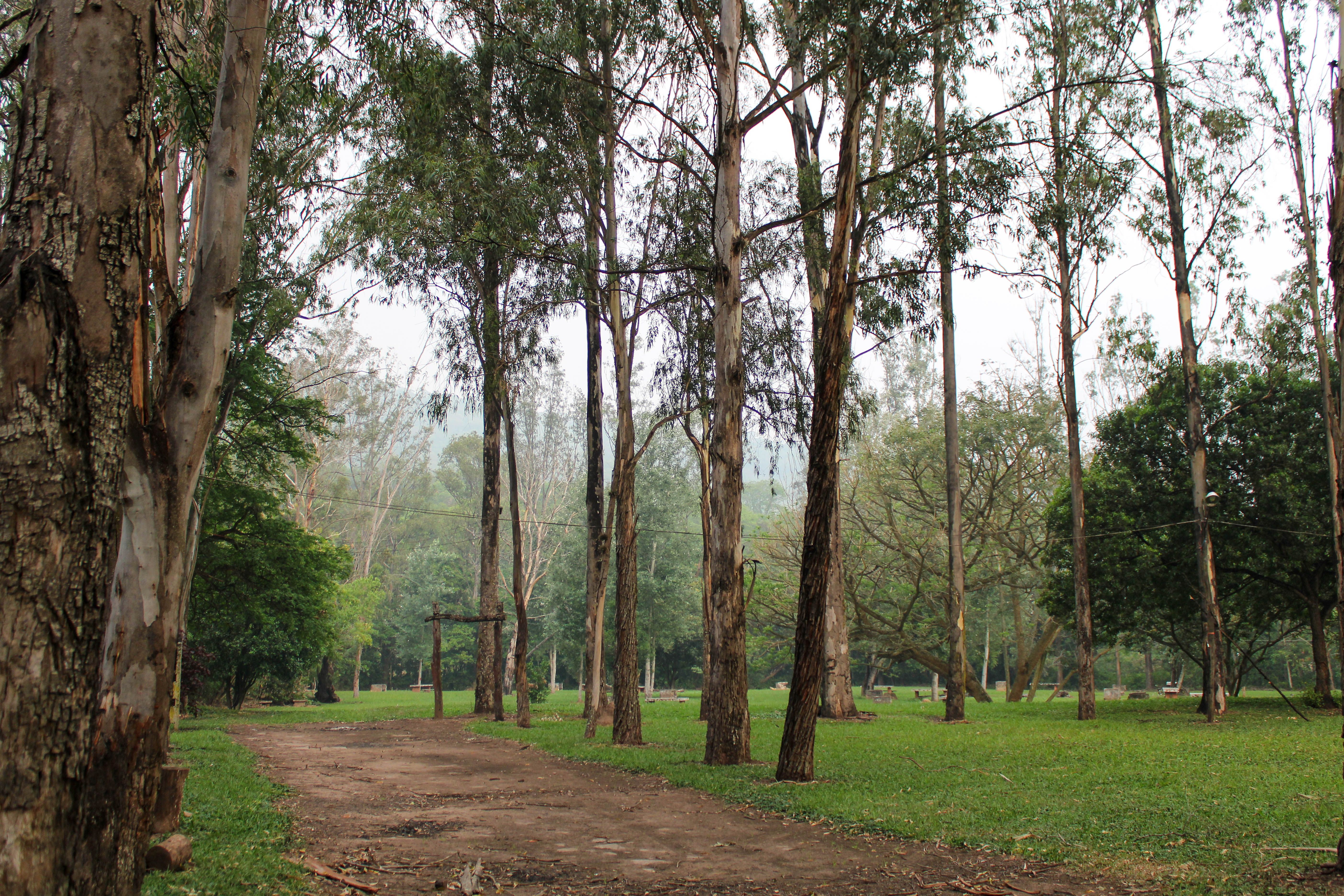 Homestay Park Chikmagalur: A Complete Visitor's Guide