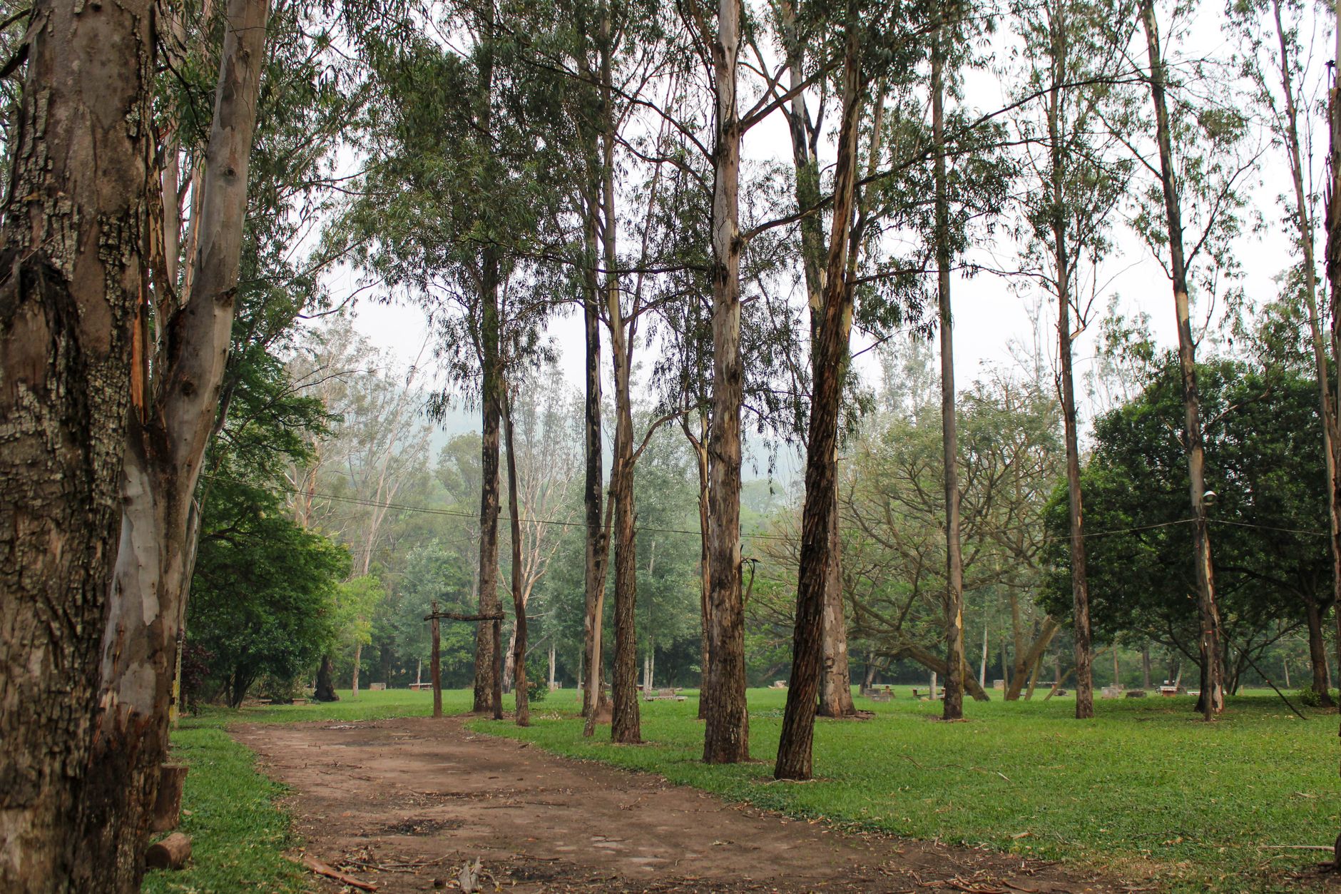 Homestay Park Chikmagalur: A Complete Visitor's Guide
