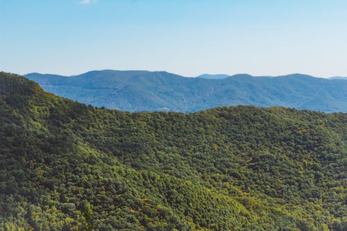 Foto stok gratis bukit hijau, fotografi udara, gunung