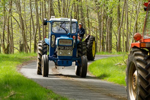 Tractors on the Road between Trees