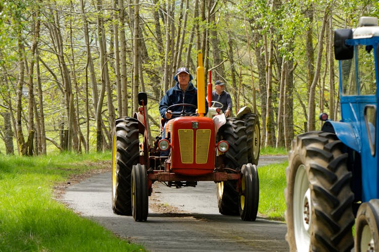 Tractors On The Road Between Trees