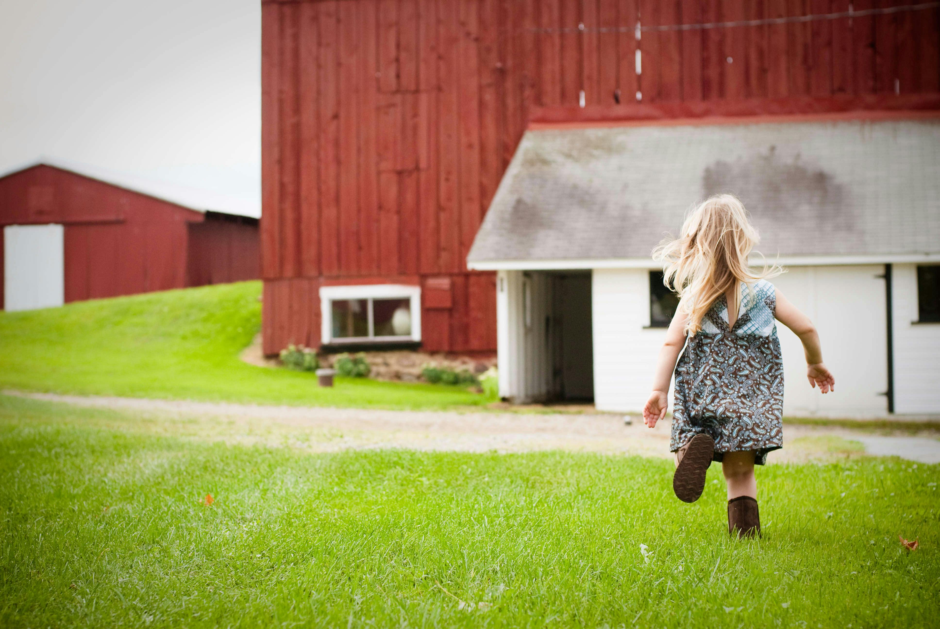 Free stock photo of country, farm, farm living