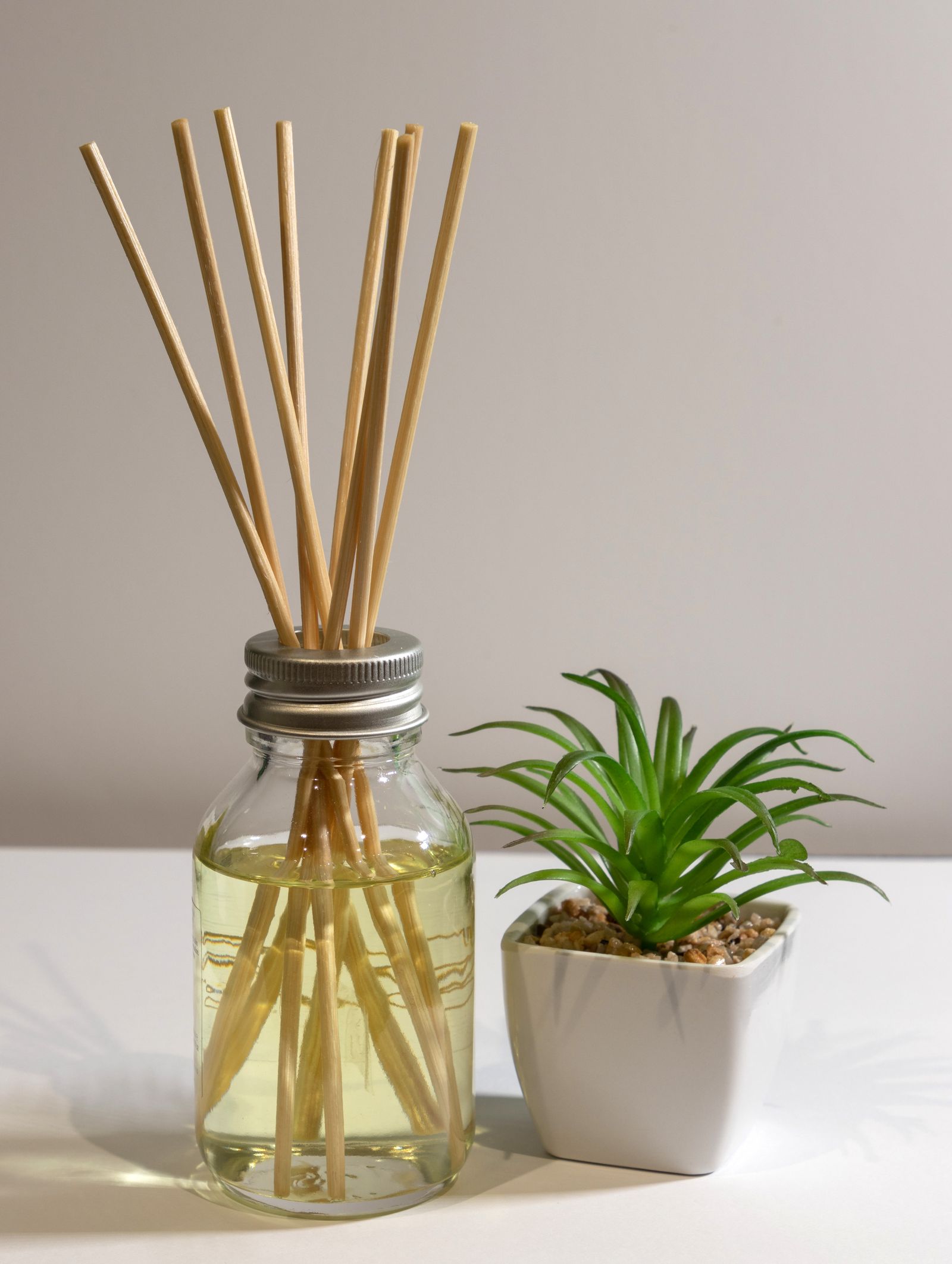 A reed diffuser and plant in a calm interior
