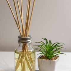 A clear glass reed diffuser with natural reeds beside a small succulent
