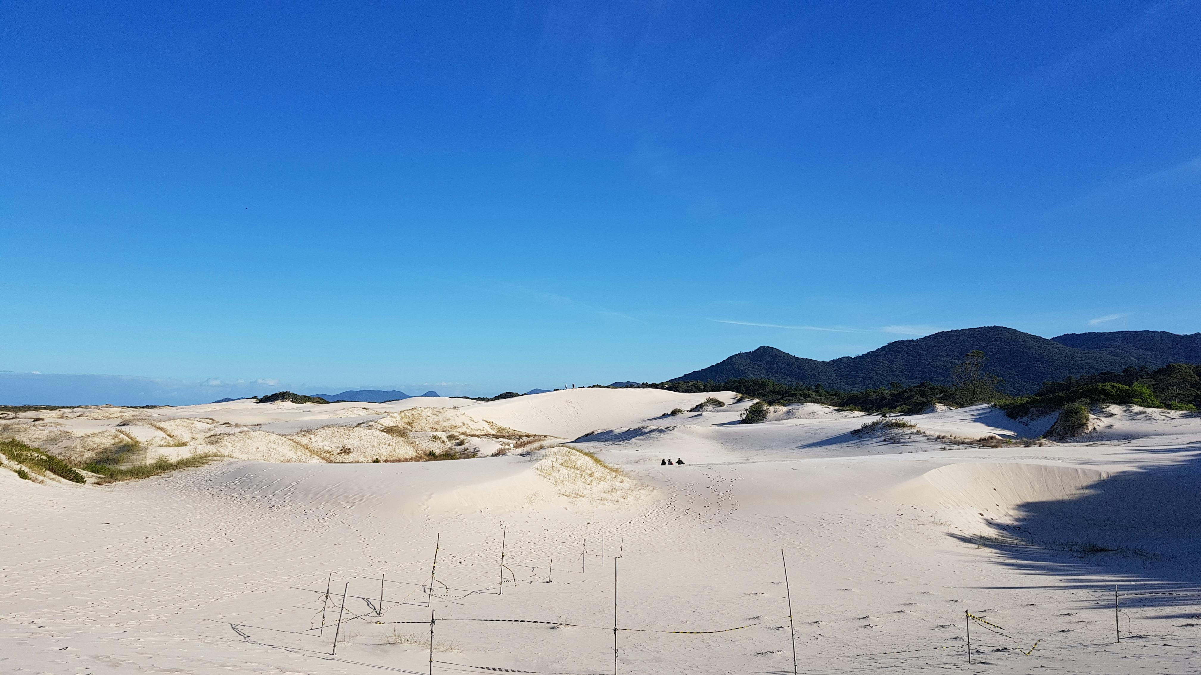 Swelling After Knee Replacement