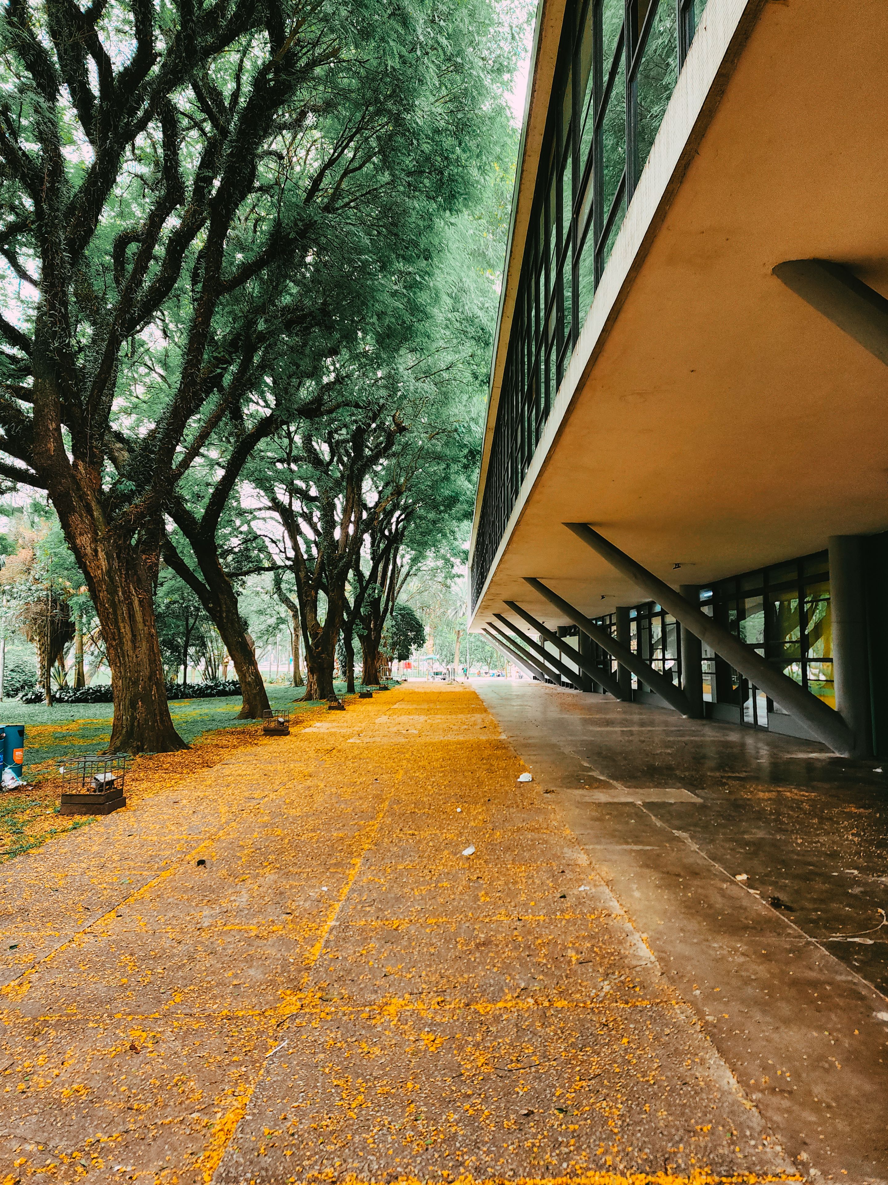 Trees near Building in Park · Free Stock Photo