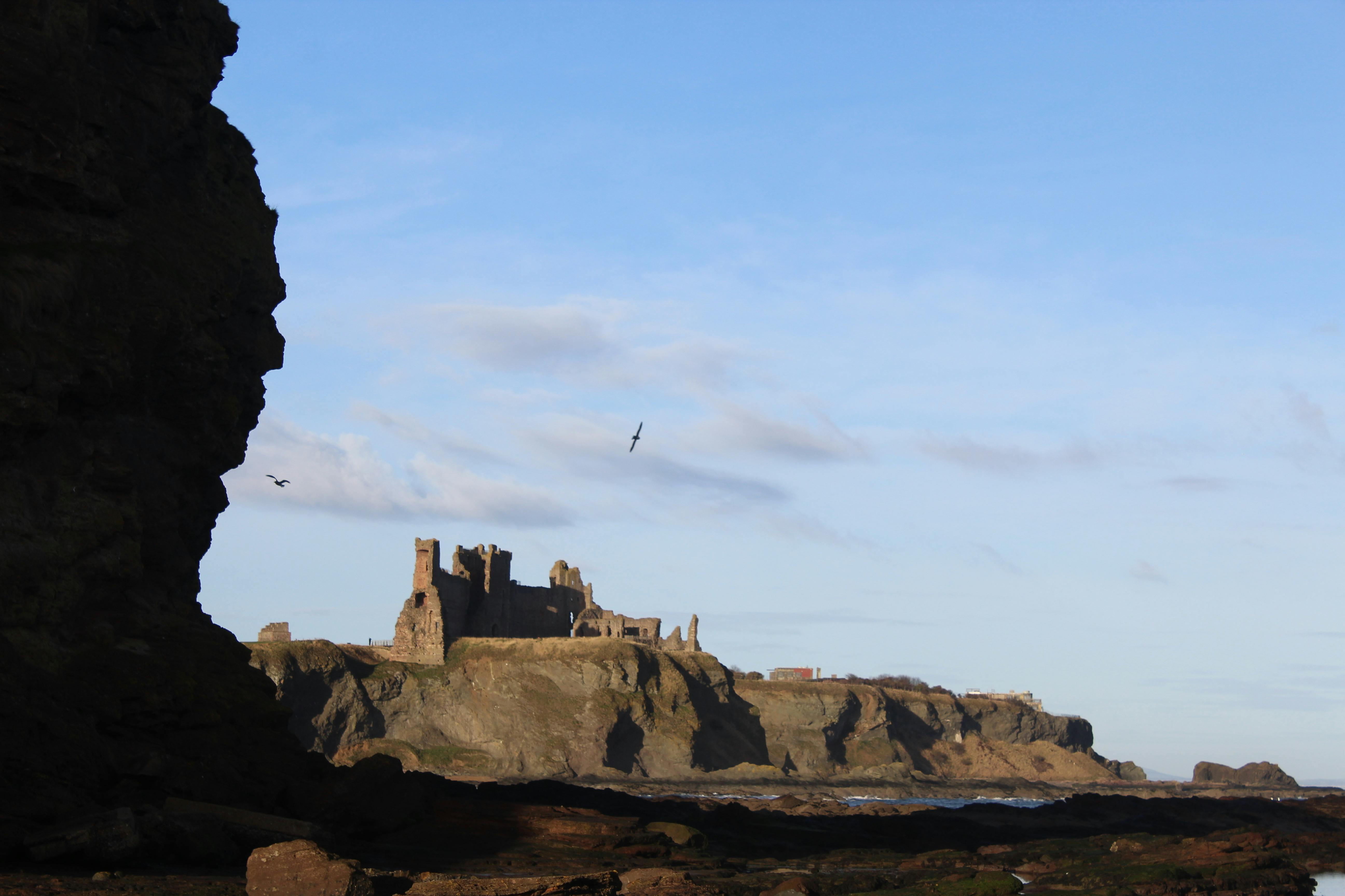 洛城人口是_会长是女仆大人(3)