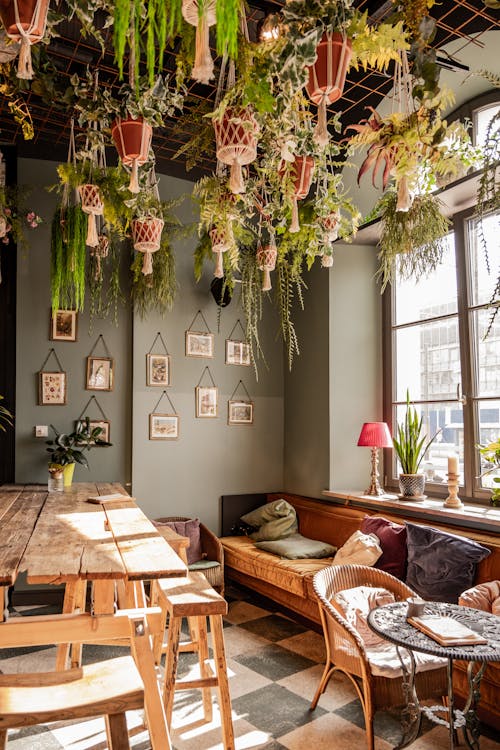 Lots of Potted Plants Hanging From the Ceiling of a Home-Style Design Cafe