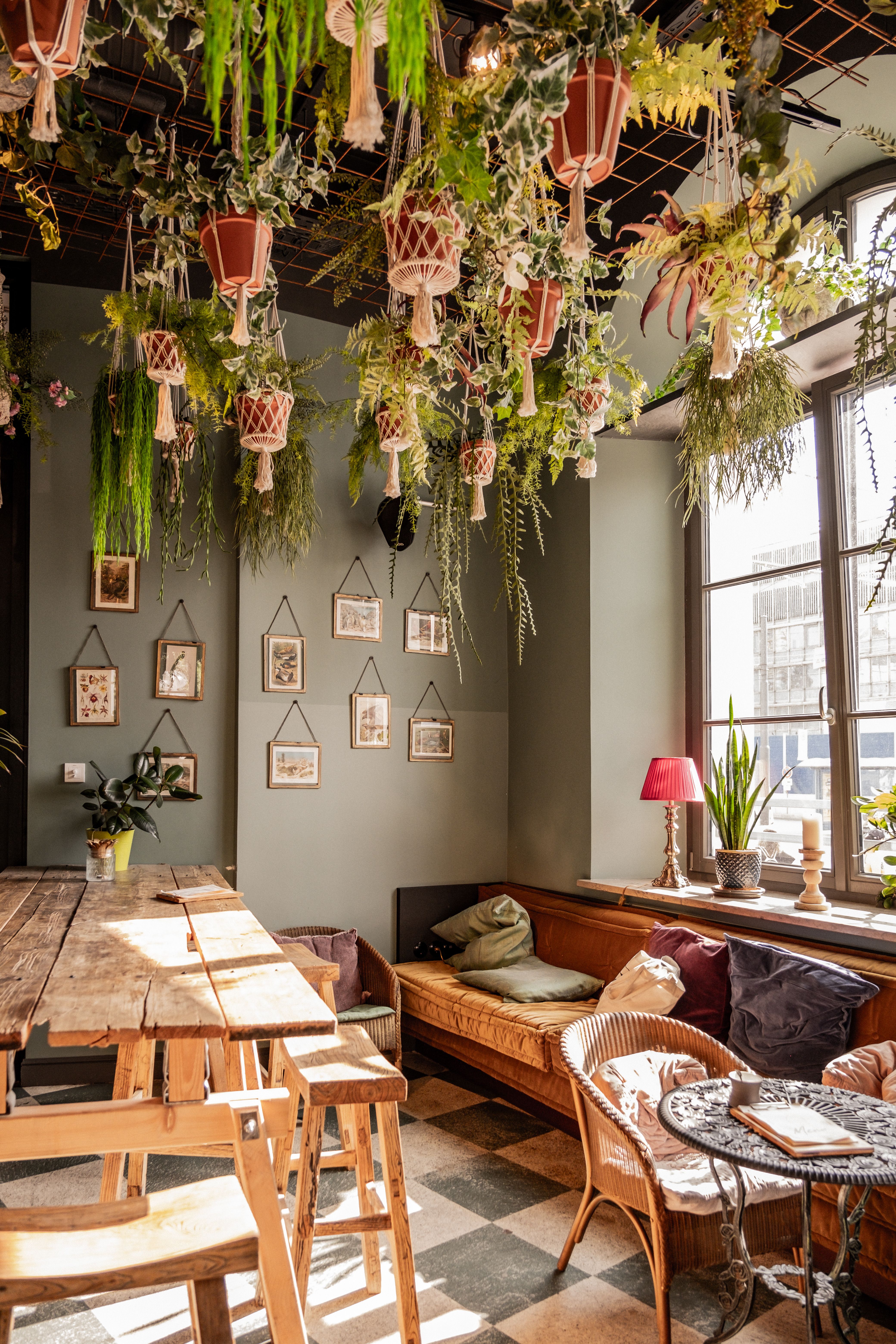Modern Rustic Cafe Interior with Hanging Plants · Free Stock Photo