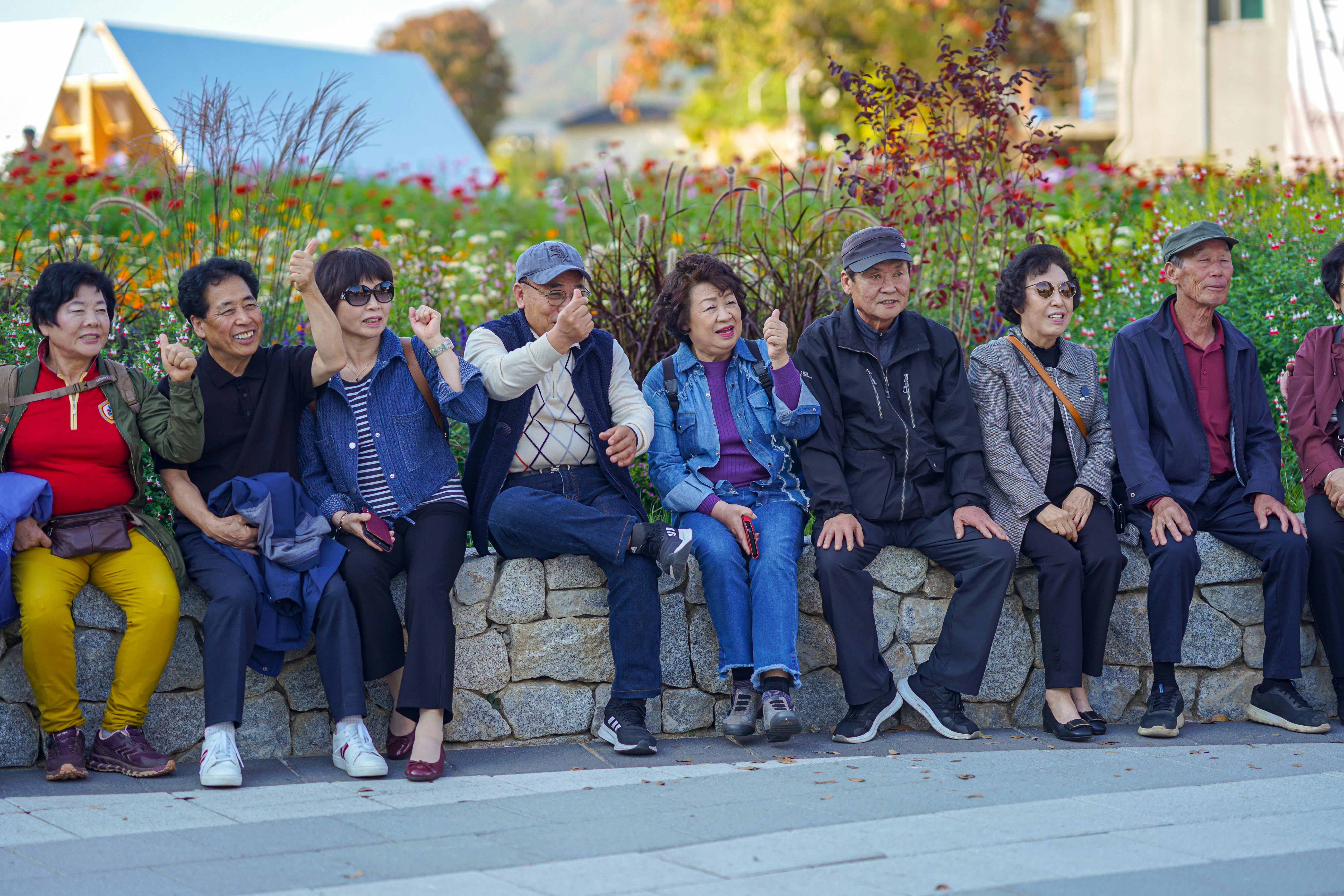 Cheerful group of senior adults sitting and gesturing in a scenic park in Seoul.