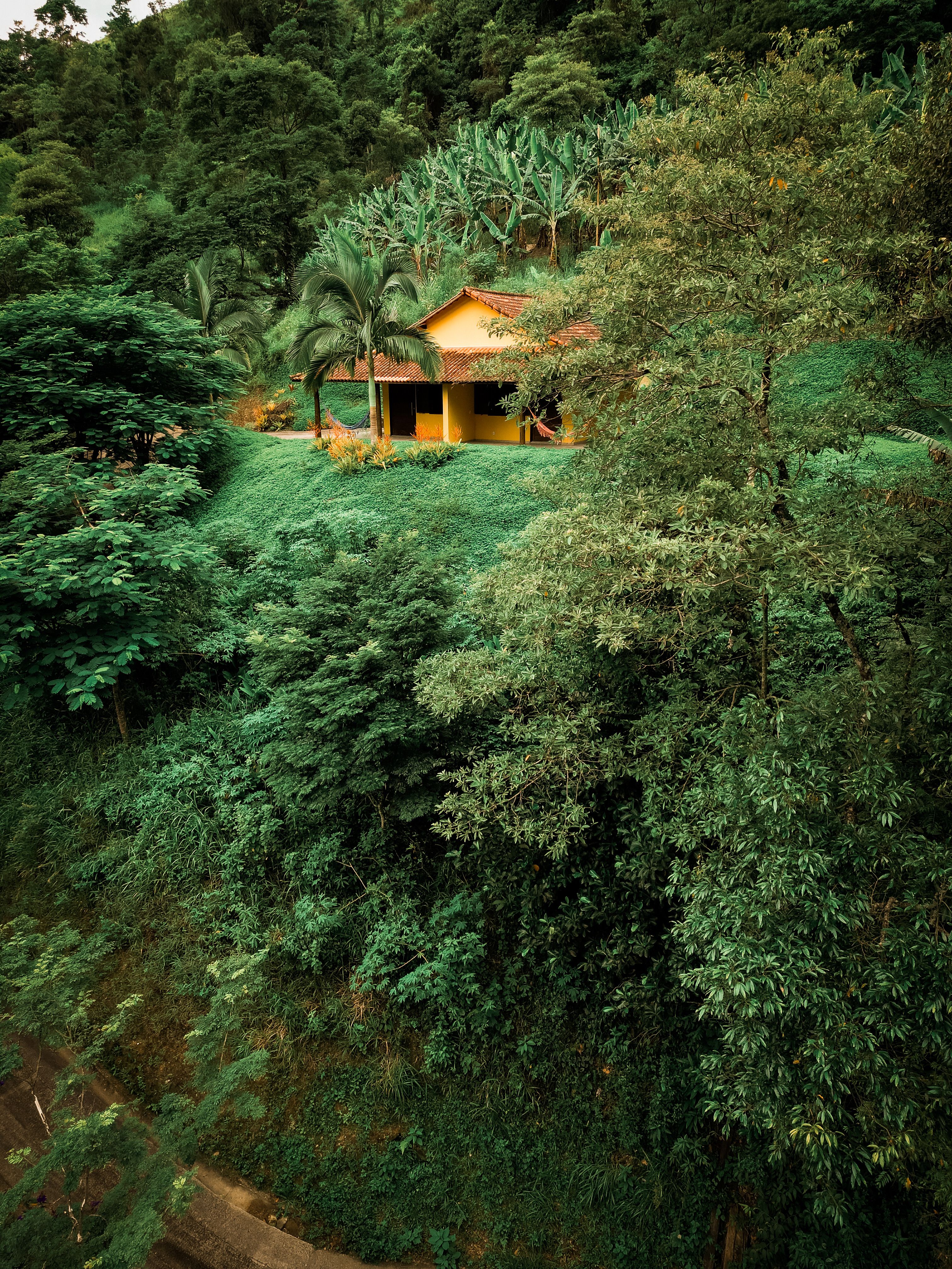 Aerial view of a vibrant yellow house nestled in the dense forest of Macaé, Brazil, surrounded by greenery.