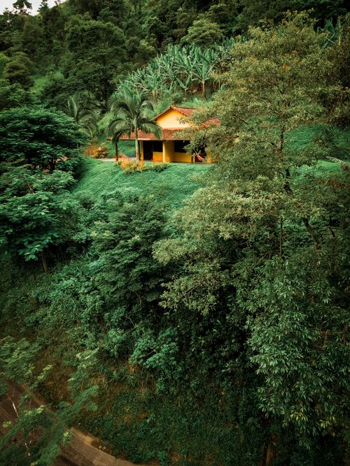 Free Aerial view of a vibrant yellow house nestled in the dense forest of Macaé, Brazil, surrounded by greenery. Stock Photo
