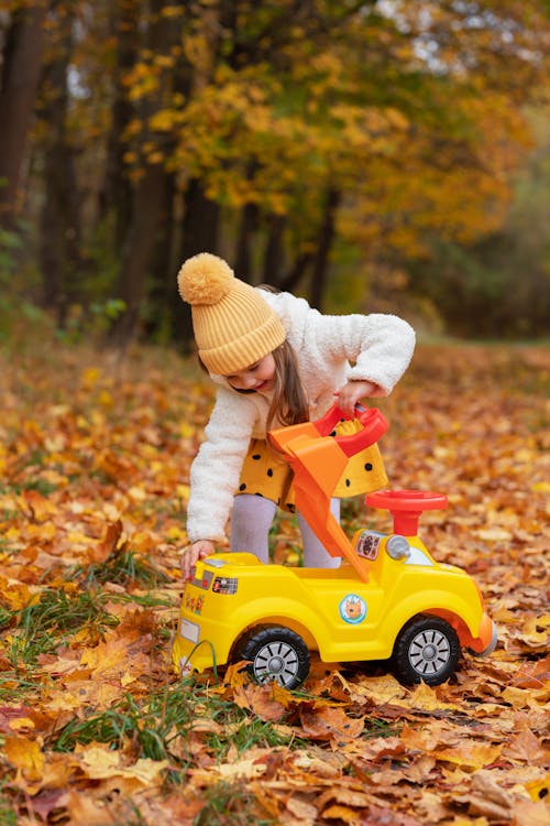 Immagine gratuita di alberi autunnali, autunno, bambino