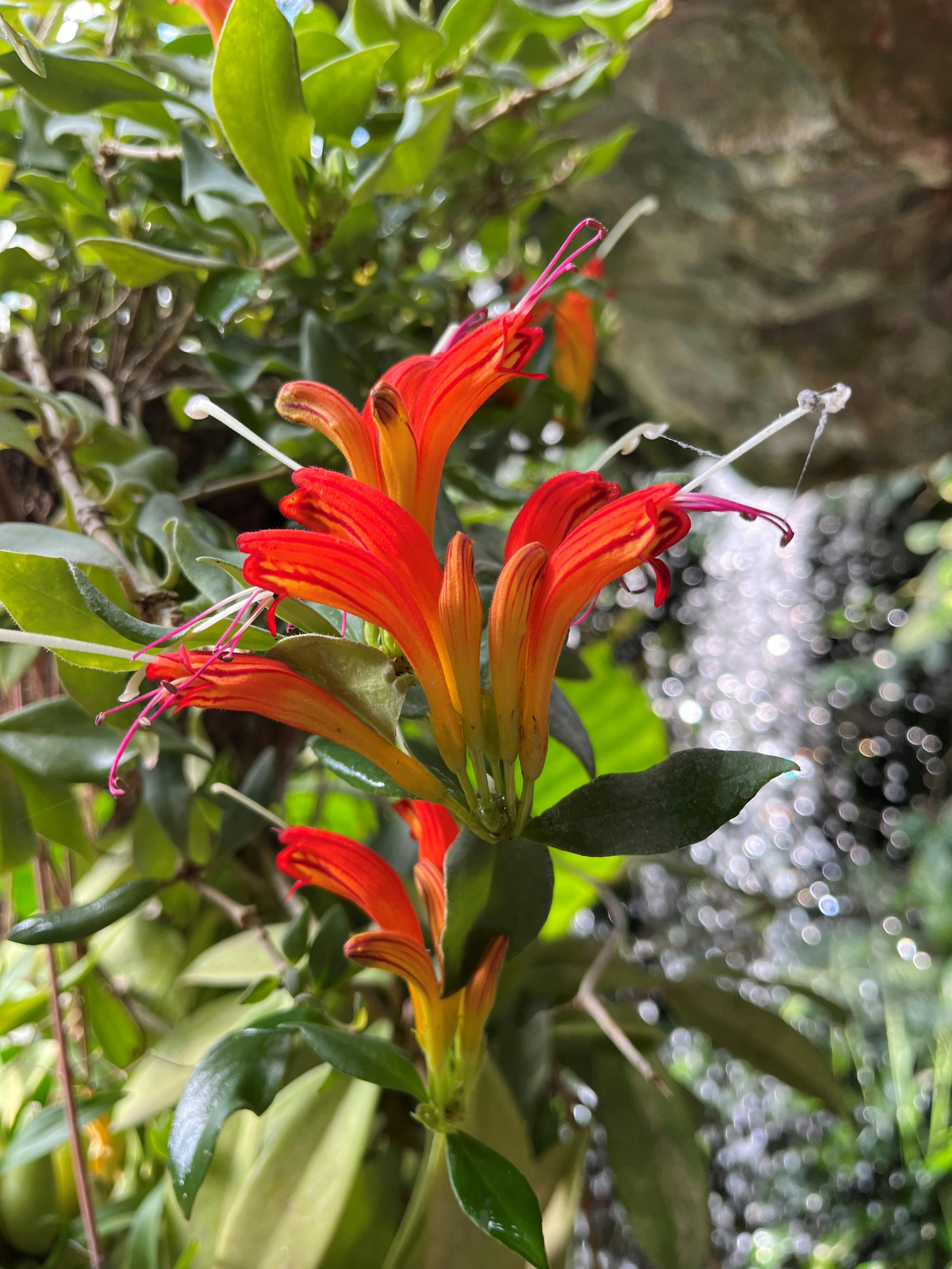 Claus Thomsen 사진