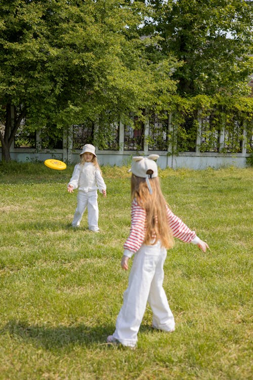 Kostenloses Stock Foto zu bäume, freude, freunde