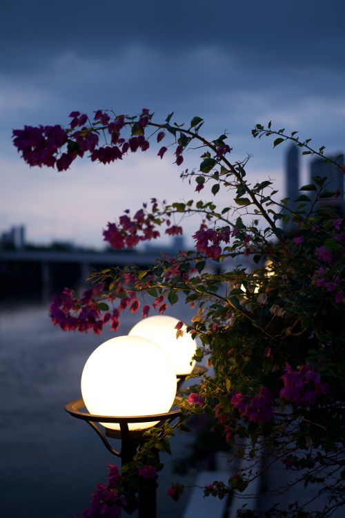 Free 灯光 Stock Photo
