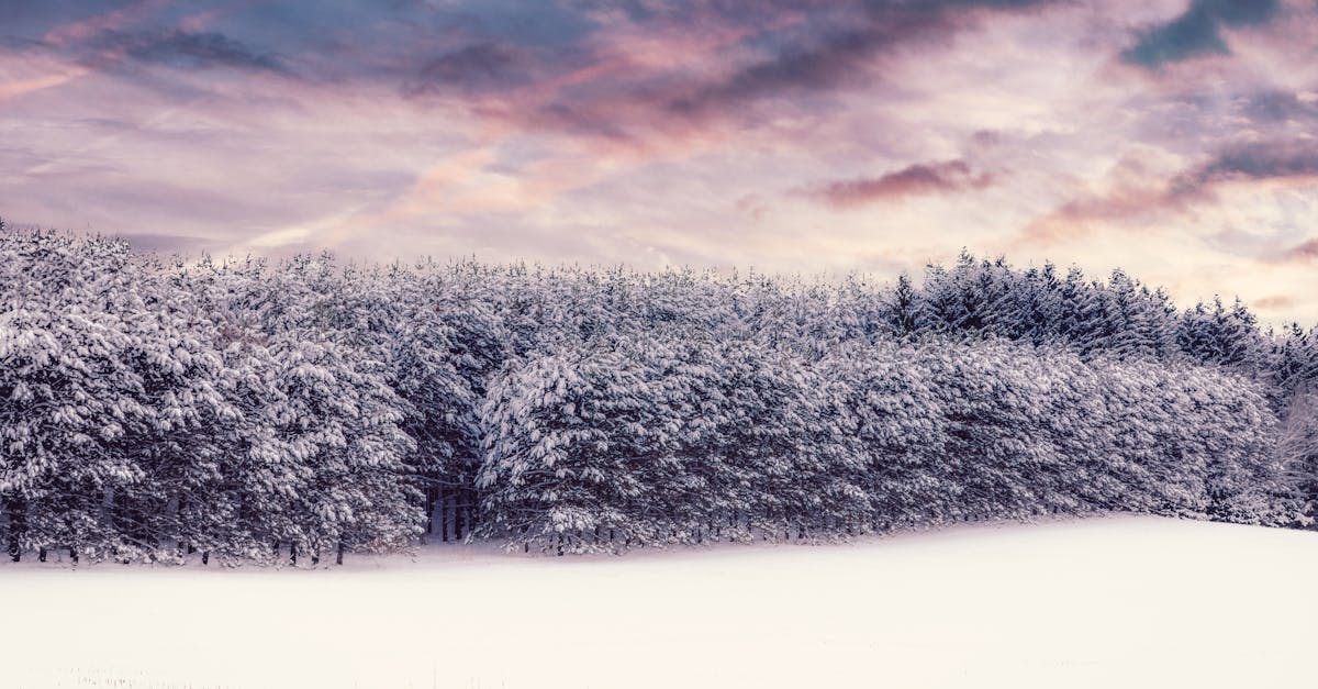 Quels gants choisir pour l'hiver ?