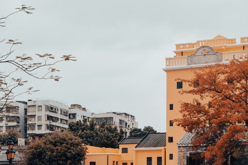Free A picturesque view of urban residential buildings framed by vibrant autumn foliage. Stock Photo
