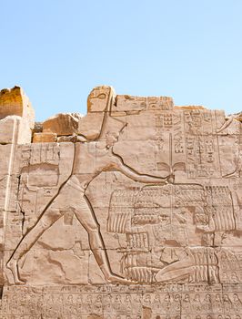 Detailed carving on an ancient Egyptian temple wall with hieroglyphs under a clear blue sky.. pexels, detailed, carving
