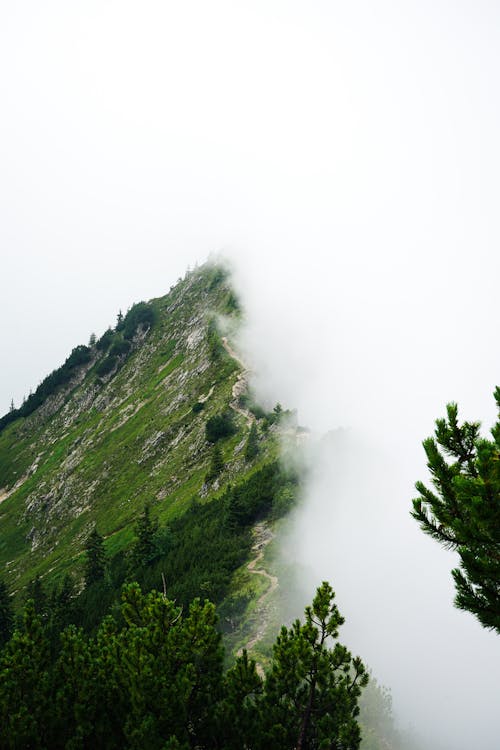 White Fog Covering Mountain