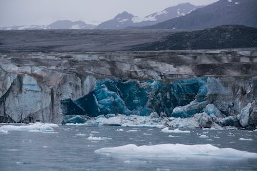 Základová fotografie zdarma na téma Arktida, krajina, led