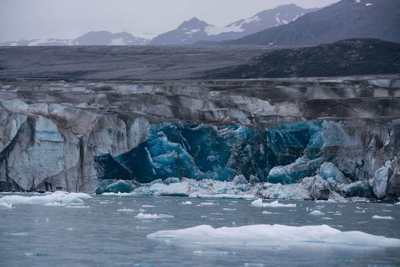 A glacier with icebergs floating in cold Arctic water (tagged Greenland/Arctic); no people or vessels in frame.