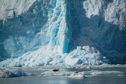 Fotos de stock gratuitas de ártico, derriténdose, glaciar