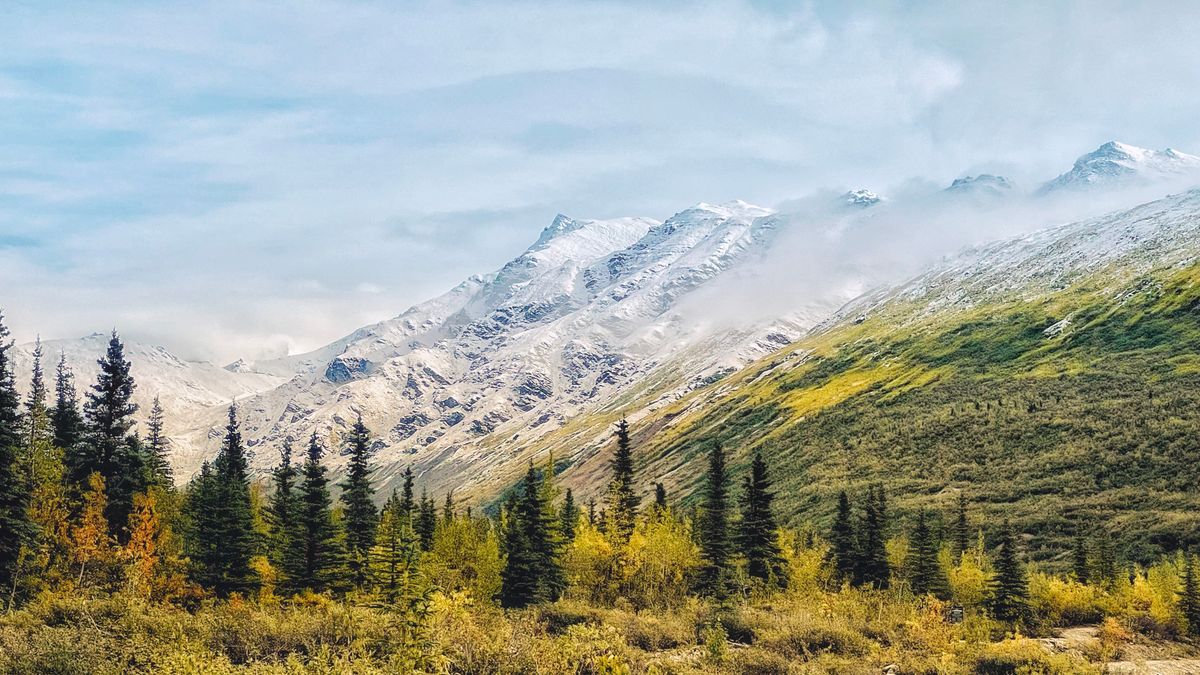 How to Enter Birthday Freebies in Anchorage, Alaska Without Scams