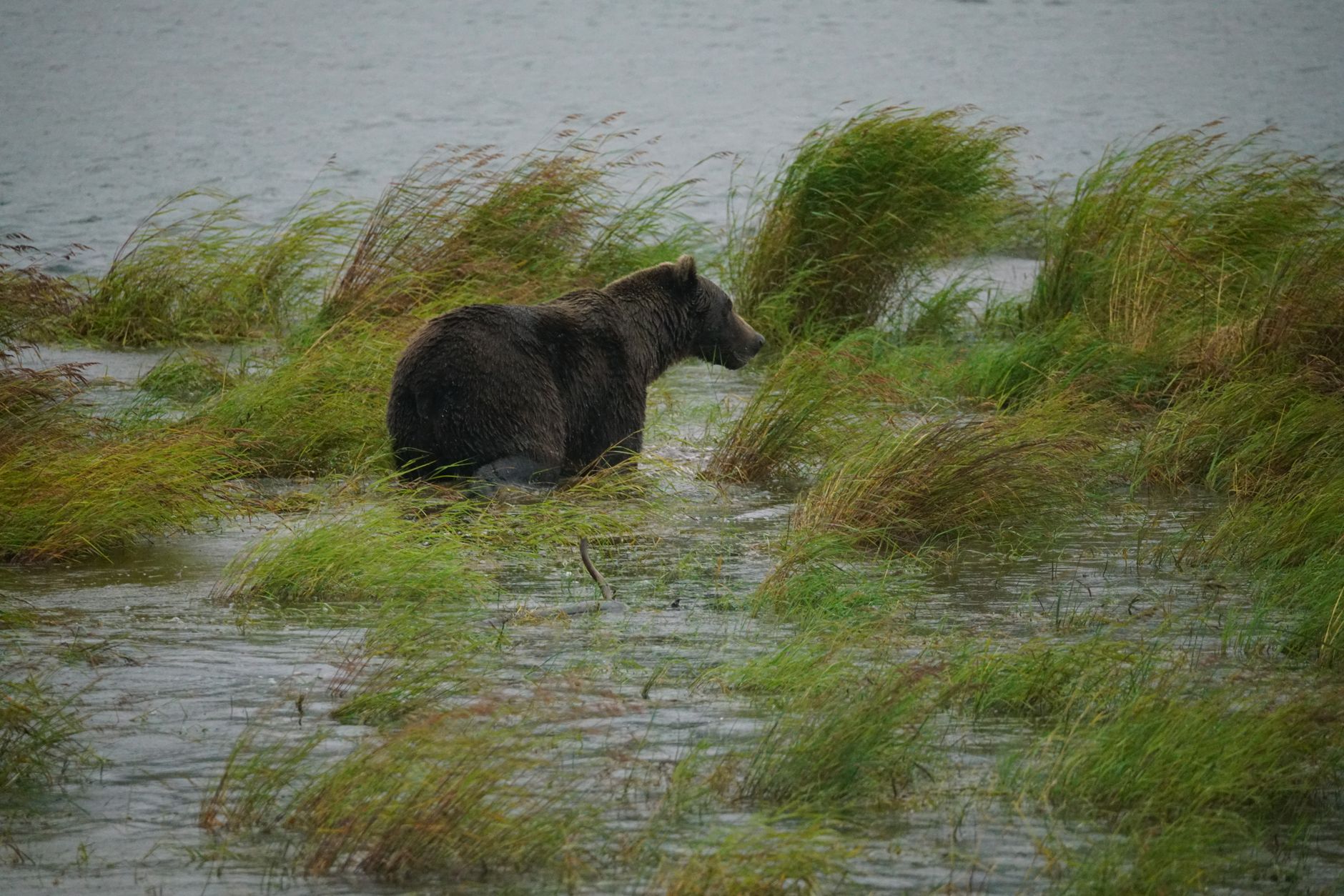 Alaska, USA
