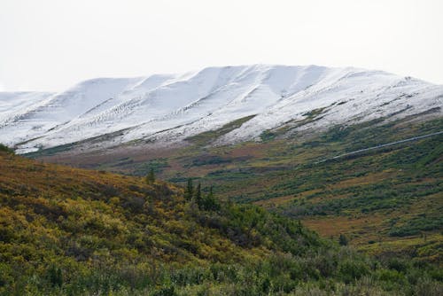 Snow in Mountains