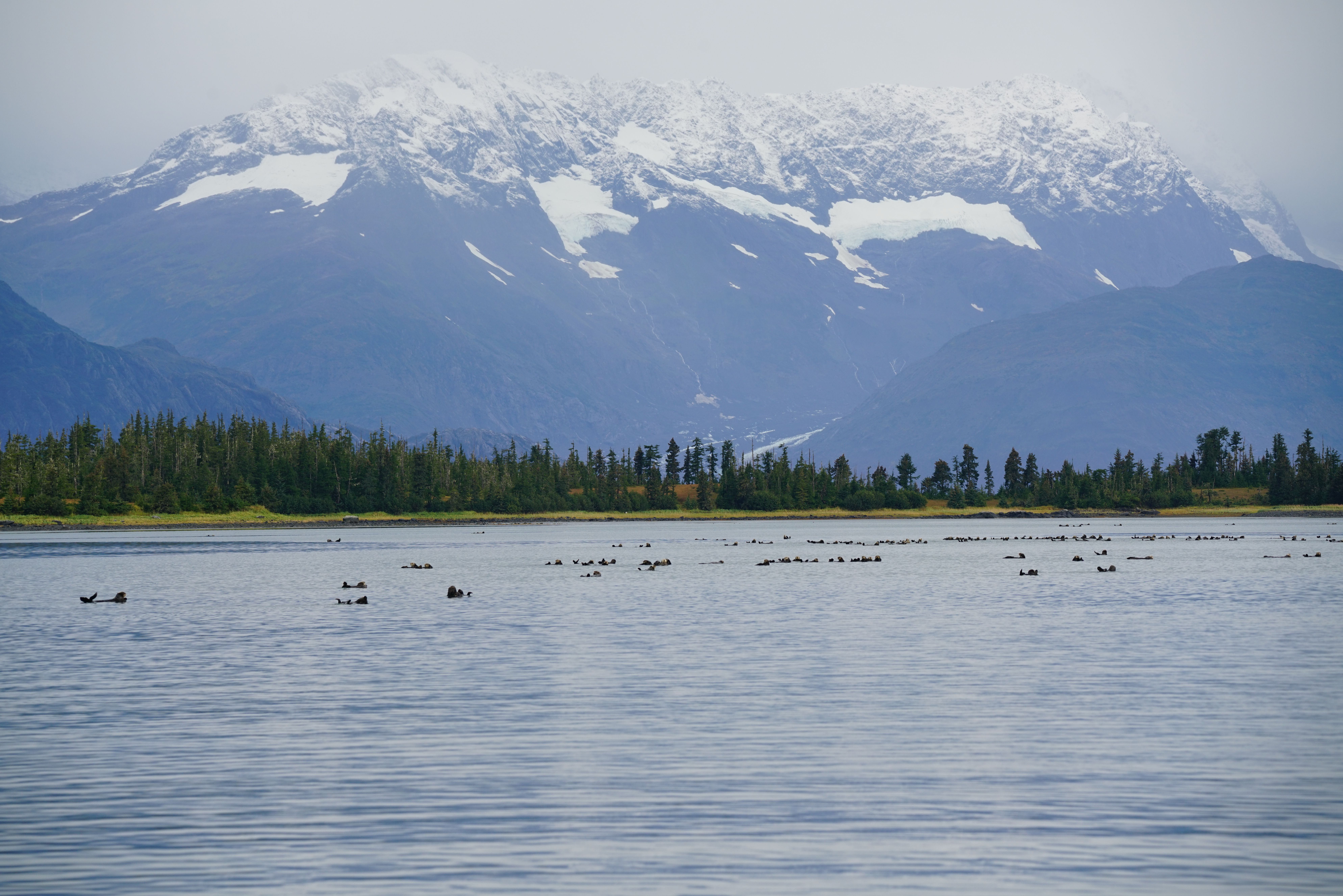 Breathtaking Trail Ride and Zipline Adventure Combo Review: An Unforgettable Alaska Ranch Experience Review 2026 - Stunning lake view with snow-capped mountains and lush forest, perfect for nature enthusiasts and adventurers.