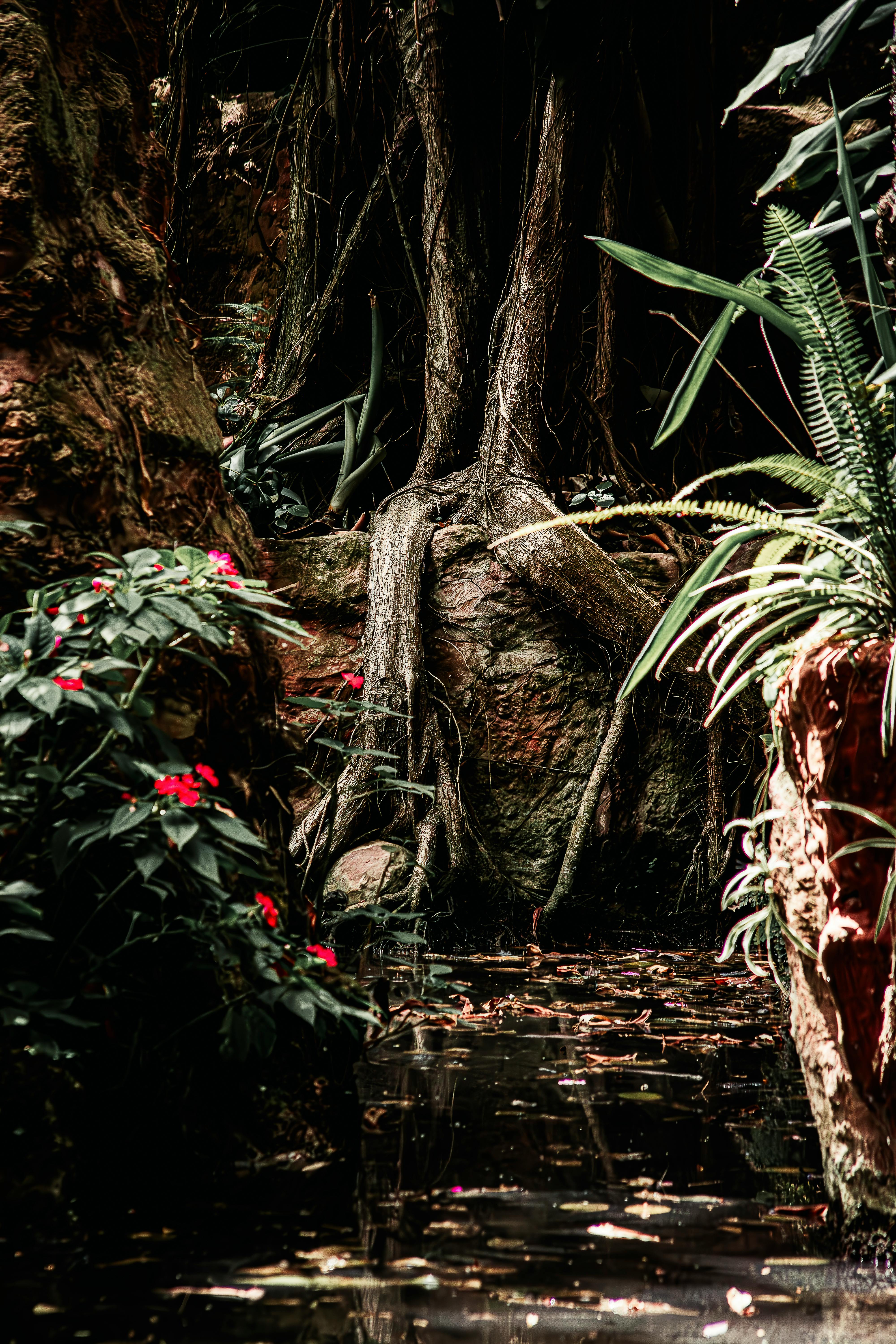 Palm Trees in Fog Jungle Scene Wall Mural | World Maps Online, image size:4000x6000