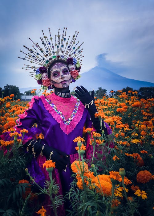 Fotos de stock gratuitas de cara pintada, catrina, corona de lores