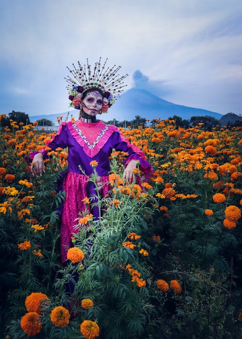 Δωρεάν στοκ φωτογραφιών με catrina, γυναίκα, ζωγραφισμένο πρόσωπο