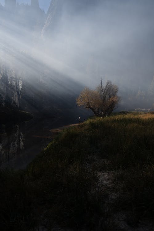 Základová fotografie zdarma na téma břeh řeky, louky, příroda