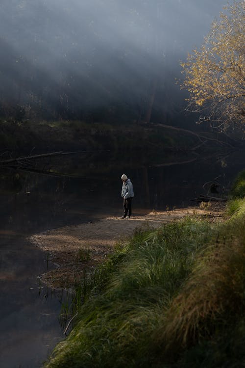 Person Standing on Riverbank in Forest