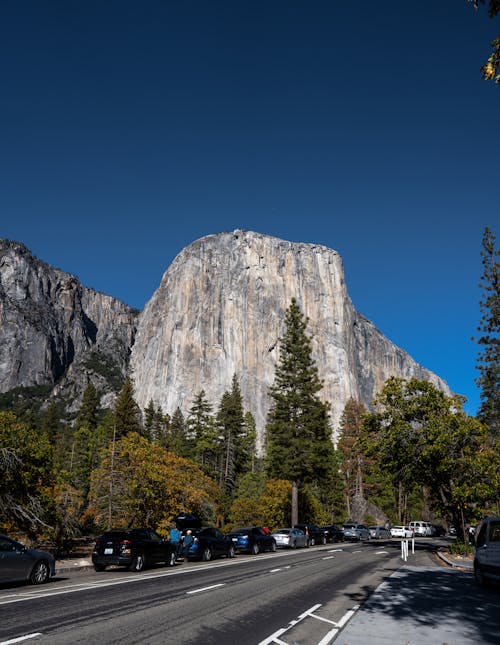 Cars Parked by Road in Yosemite National Park