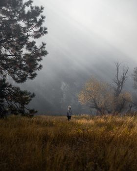 A person enjoys a walk in a sunlit autumn meadow surrounded by trees.