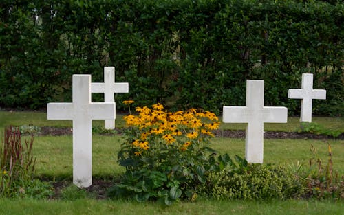 Kostnadsfri bild av begravning, kyrkogård, militär kyrkogård