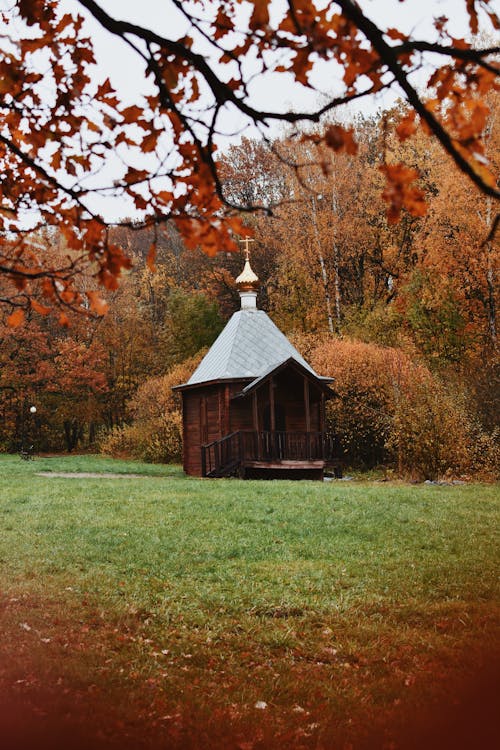 Forest around Orthodox Church in Autumn