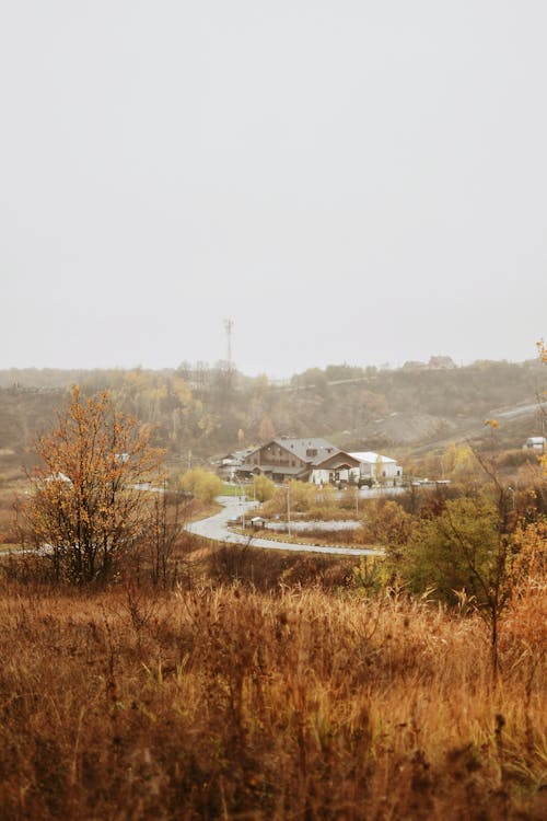 Trees and Road in Village in Autumn