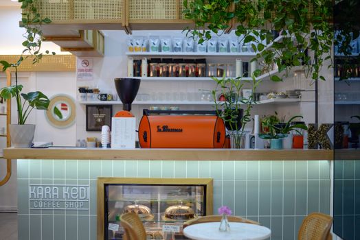 Stylish and modern coffee shop interior featuring plants and a vibrant coffee machine.