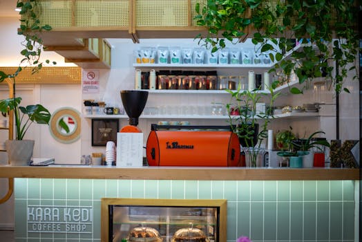 Contemporary coffee shop with plants, colorful decor, and a coffee machine.