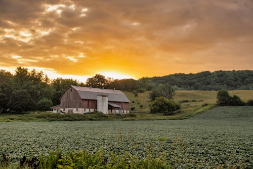 Rural Field and Barn at Sunset