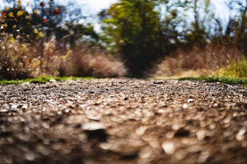 asfaltsız yol, çakıl taşlı yol, doğa manzarası içeren Ücretsiz stok fotoğraf