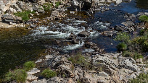 Imagine de stoc gratuită din apă curgătoare, fotografie cu natură, frumusețea naturii