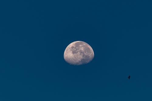 Photos gratuites de astronomie, ciel, croissant de lune