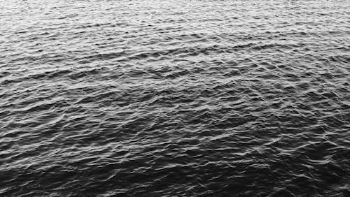 Immagine gratuita di acqua, bianco e nero, increspare