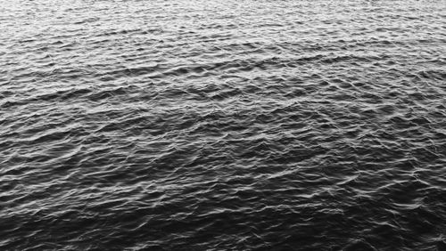 Free A serene black and white image of ocean waves reflecting light, captured in Helsinki. Stock Photo