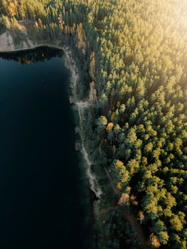 Stunning aerial shot of a dense Latvian forest bordering a serene lake, capturing natural beauty.